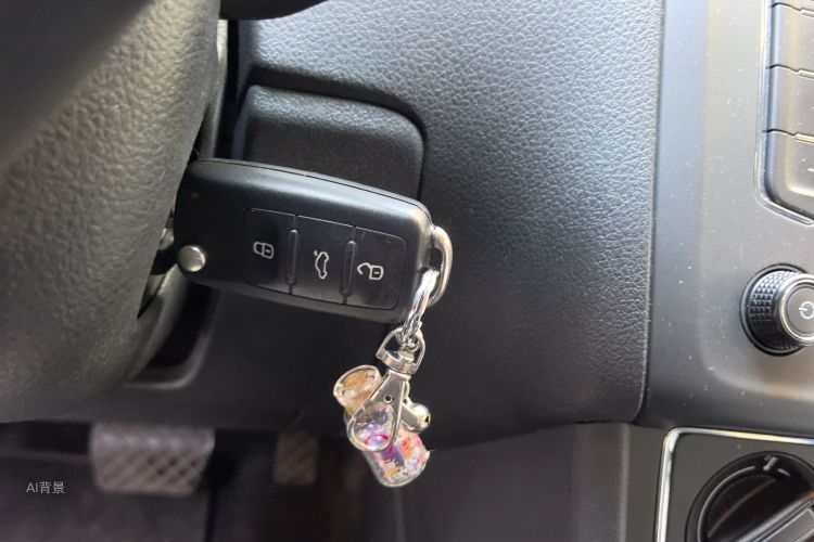 Volkswagen Polo 2015 immagine di auto #10