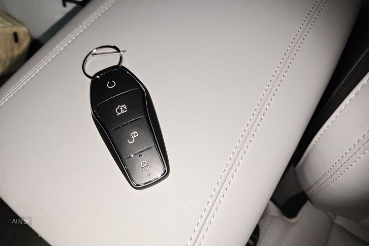 BYD Seal 06 DM-i 2025 car image #10