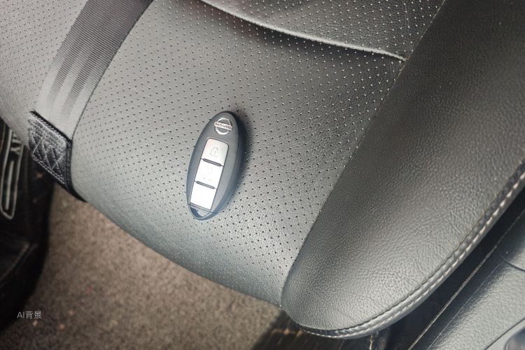 日产 轩逸 2019 汽车图片 #10