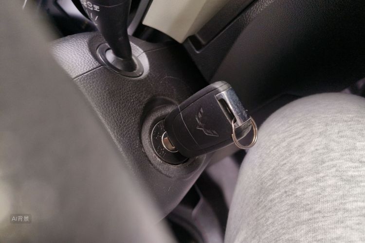 五菱汽车 五菱宏光PLUS 2020 汽车图片 #10