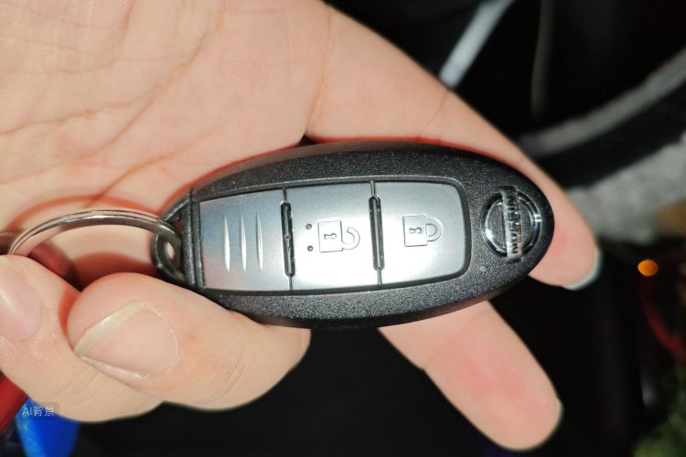 日产 逍客 2020 汽车图片 #10