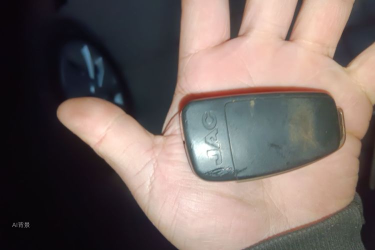 JAC 2022 #10 JAC 2022 car image #10