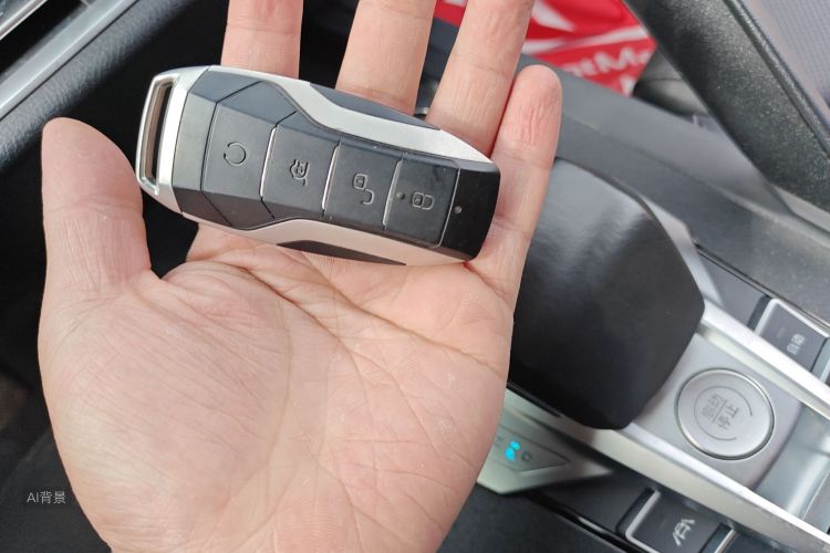 BYD Song Pro 2020 car image #10