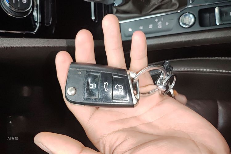 Volkswagen Teramont 2018 car image #10