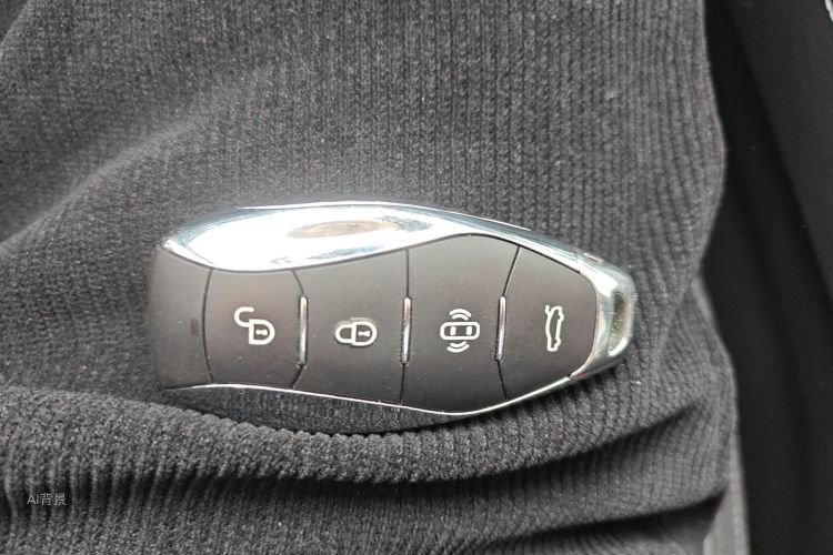 HongQi H9 2024 car image #10