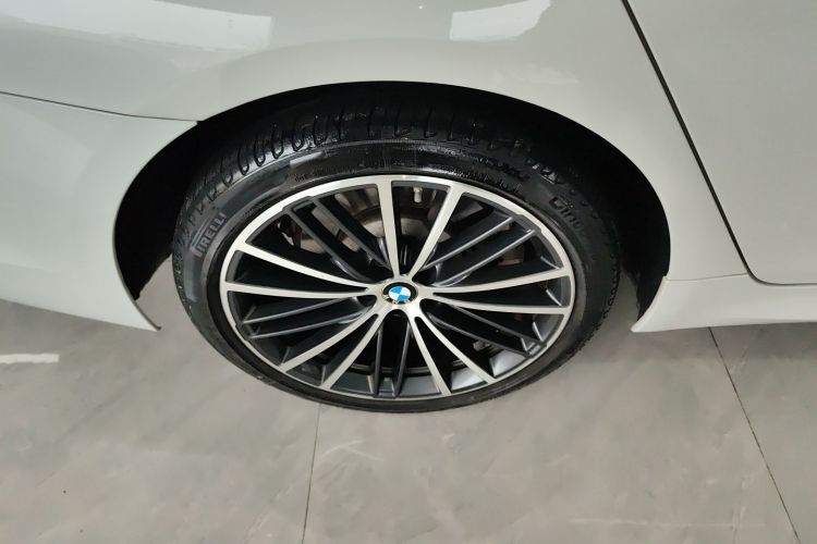 BMW 5 Series 2020 car image #10