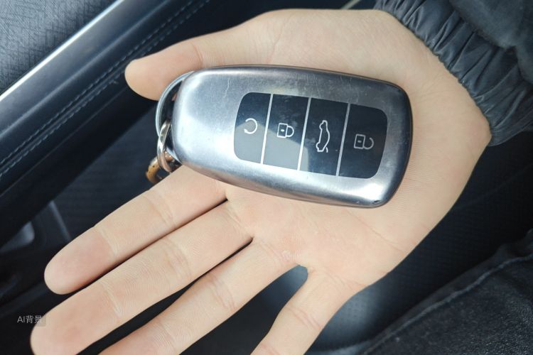 Chery Tiggo 9 2023 car image #10