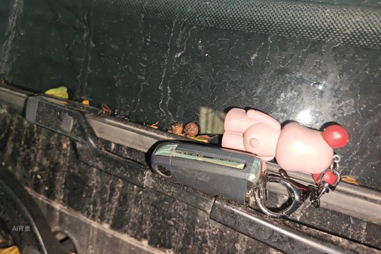 Volkswagen T-Roc 2019 car image #10