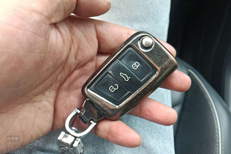 Volkswagen Tiguan L New Energy 2019 imagen de coche #10