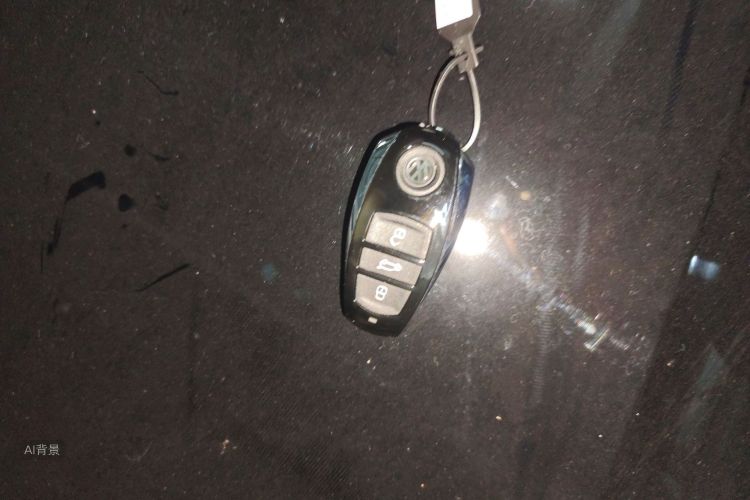 大众 途锐 2014 汽车图片 #10