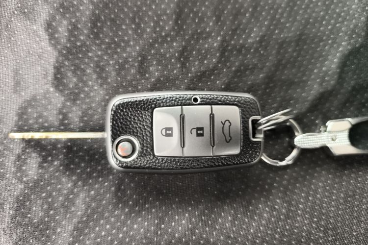 Forthing Lingzhi 2017 car image #10