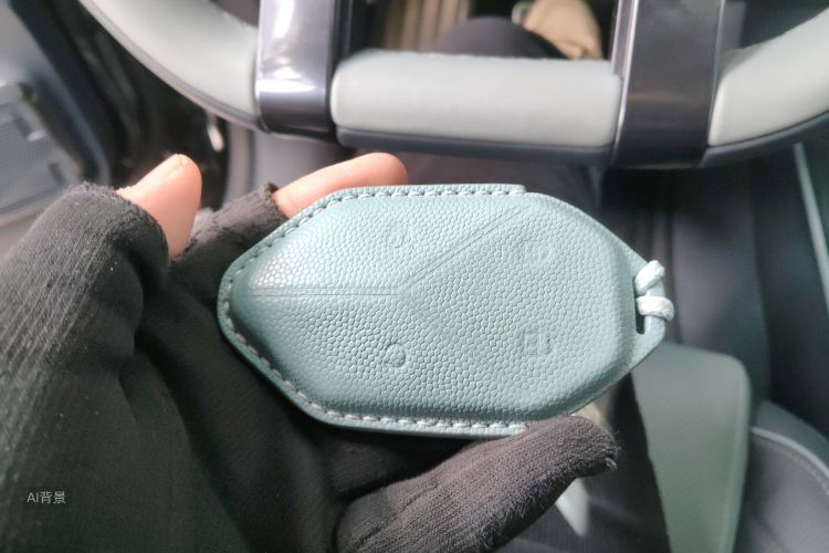 FangChengBao Leopard 5 2025 car image #10