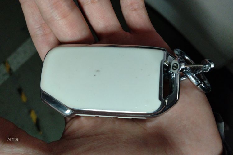 Kia Sportage R 2019 car image #10