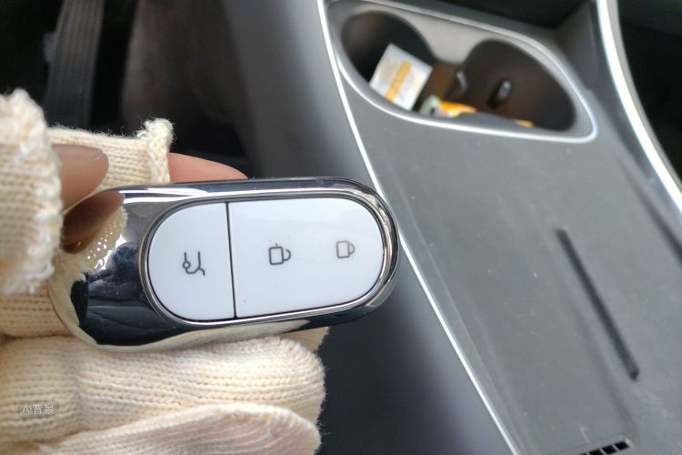 Leapmotor 2025 #10 Leapmotor 2025 immagine di auto #10