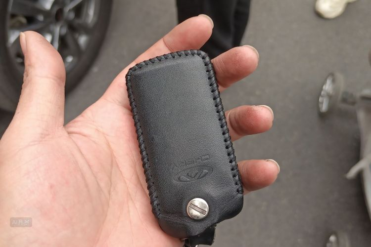 Exceed Chasing Wind 2020 image de voiture #10