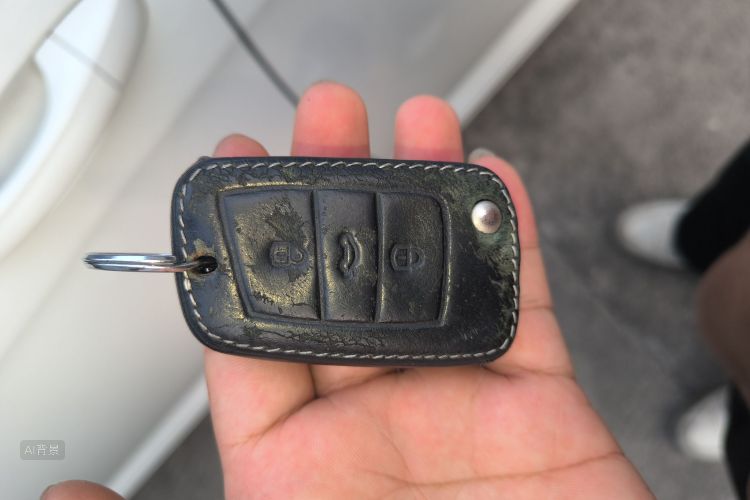 Volkswagen Lavida 2019 immagine di auto #10