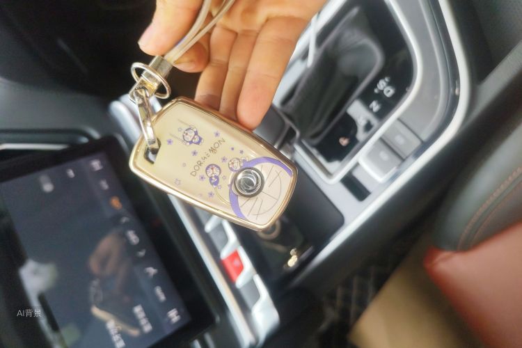 东风风行 风行T5L 2020 汽车图片 #10