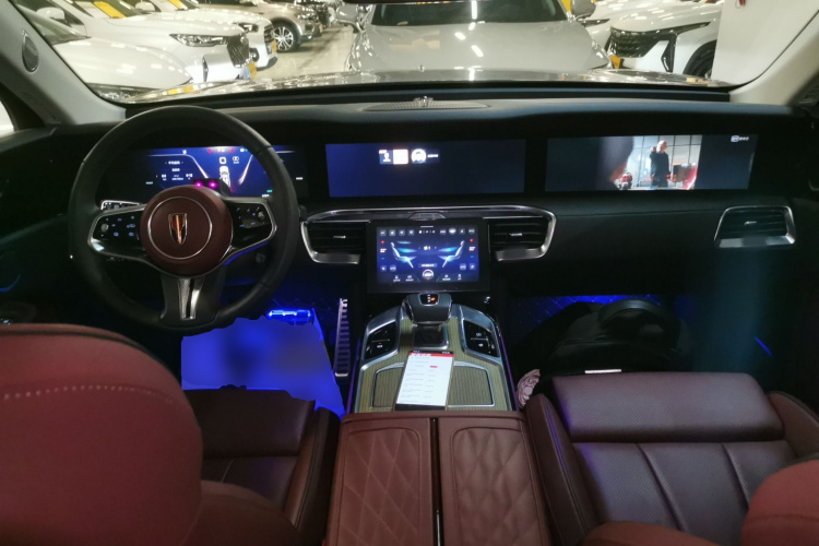 HongQi E-HS9 2023 car image #10