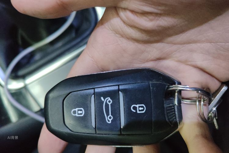 标致 标致3008 2016 汽车图片 #10