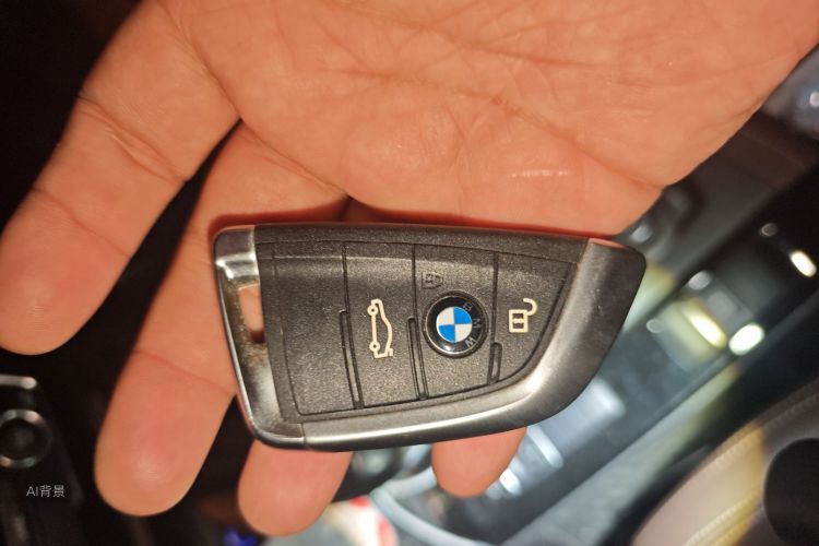 BMW X1 2019 car image #10