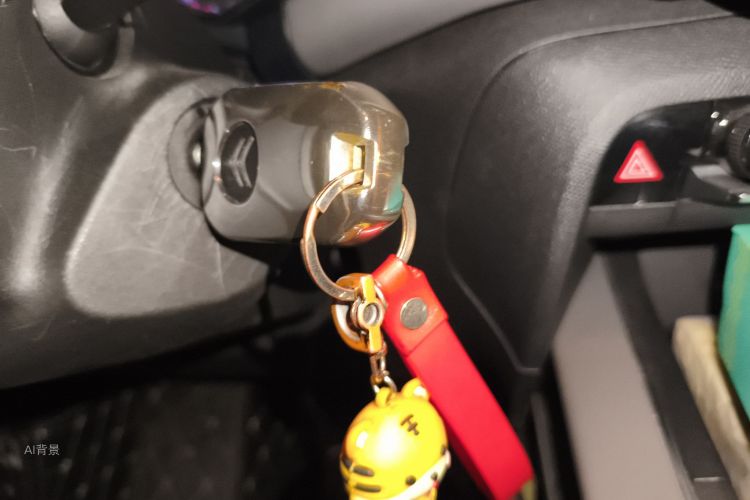 Citroen C5 AIRCROSS 2021 car image #10