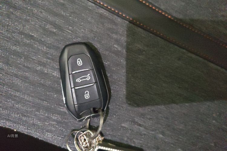 标致 标致4008 2017 汽车图片 #10