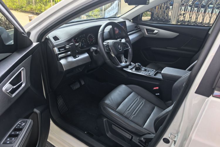 BYD Qin New Energy 2022 car image #10