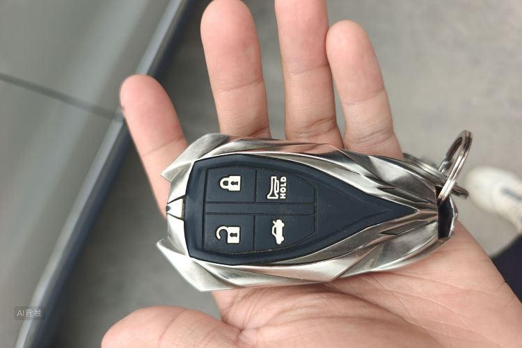 HongQi HS5 2020 immagine di auto #10