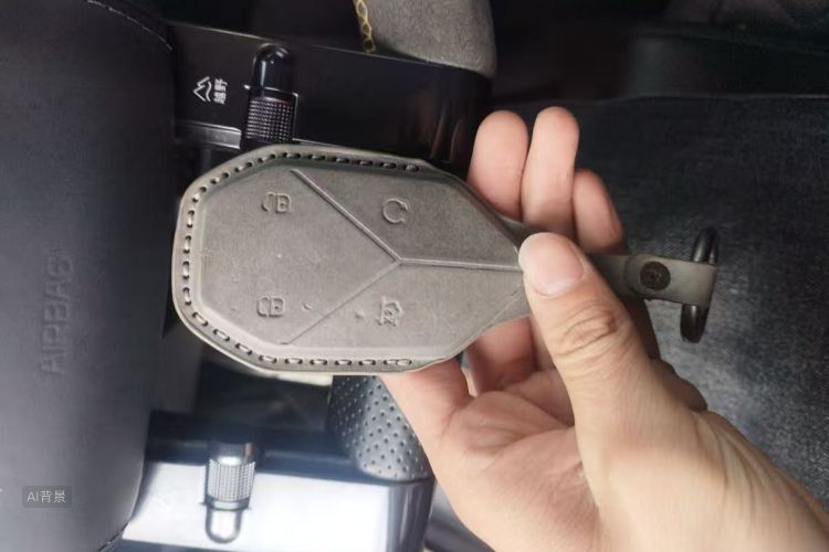 FangChengBao Leopard 5 2024 immagine di auto #10