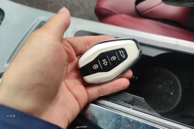 X70 PLUS 2022 car image #10