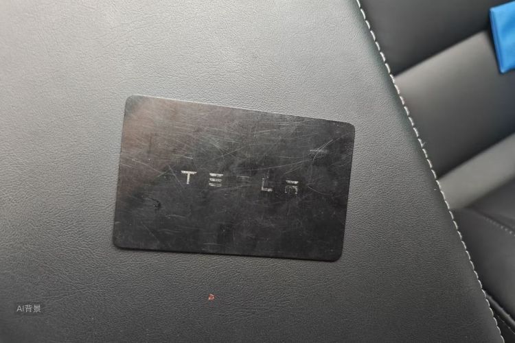 特斯拉 Model 3 2022 汽车图片 #10