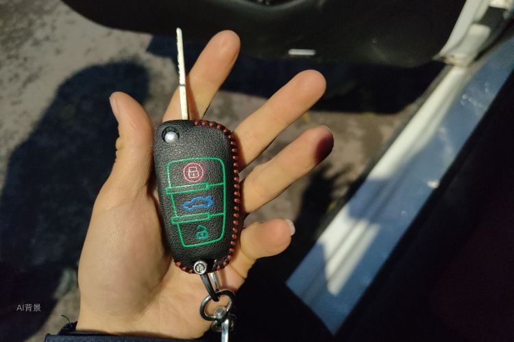 Tiggo 3x 2018 car image #10