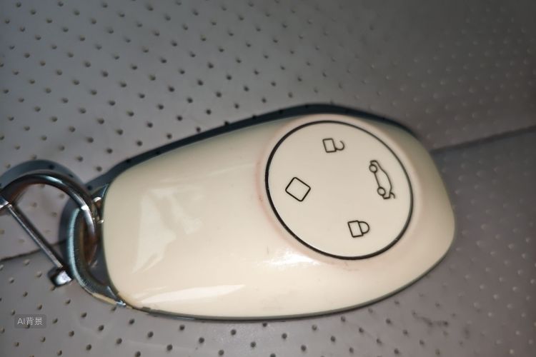 Leapmotor C11 2022 #10 Leapmotor C11 2022 car image #10