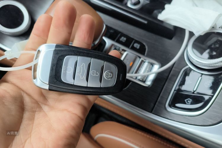 HongQi H9 2022 car image #10