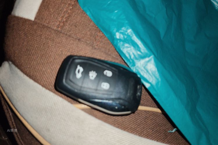 Soueast DX7 2017 car image #10