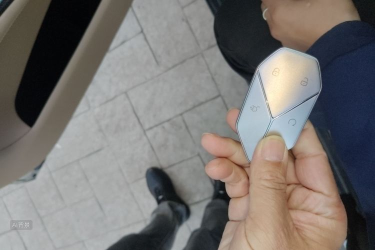 FangChengBao Leopard 8 2024 immagine di auto #10