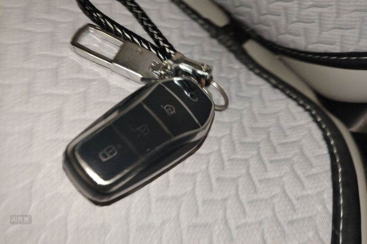 BYD D1 2023 car image #10