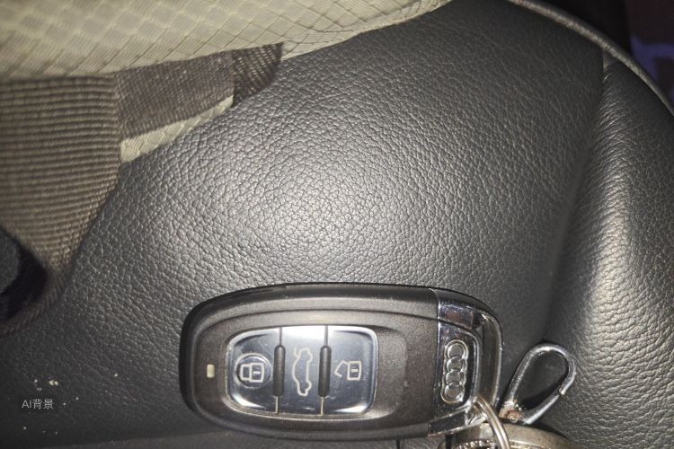 奥迪 奥迪Q5 2014 汽车图片 #10