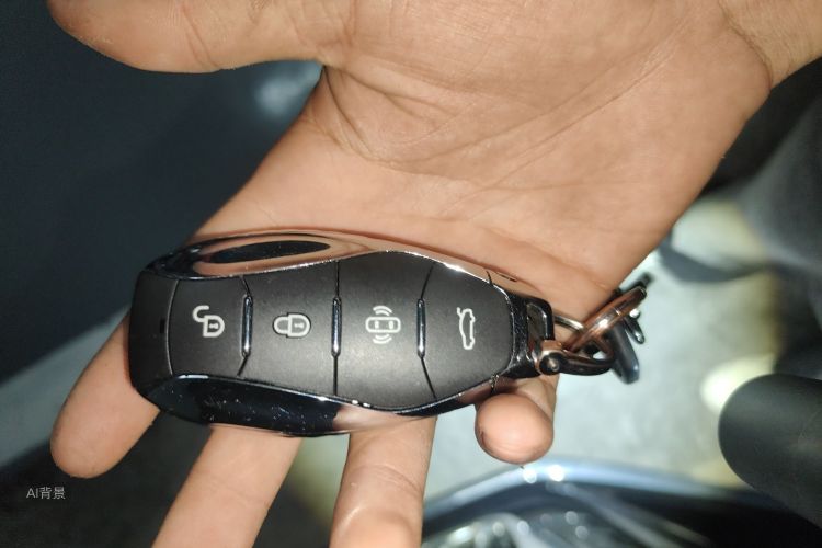 HongQi H5 2023 صورة سيارة #10