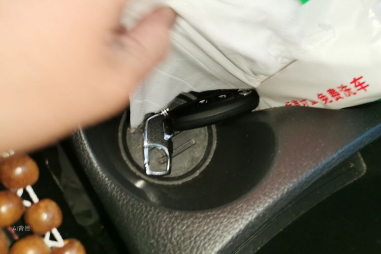 日产 逍客 2019 汽车图片 #10