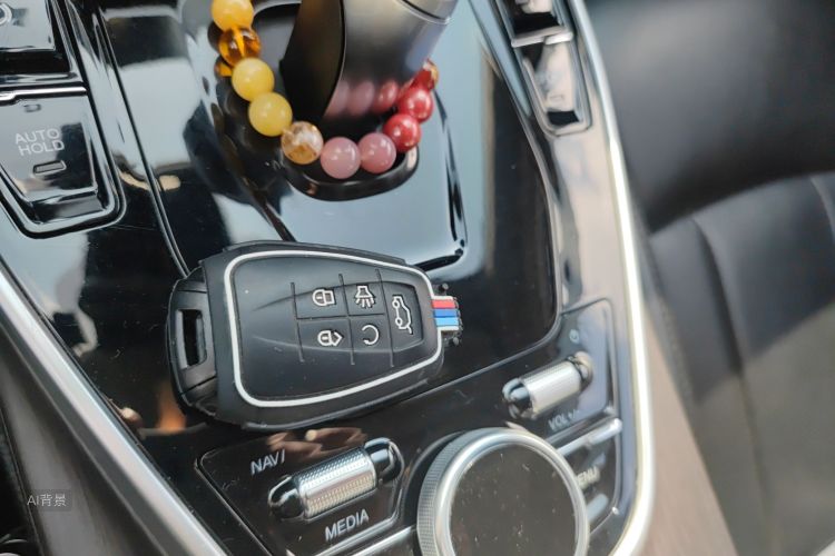 Soueast DX7 2020 car image #10