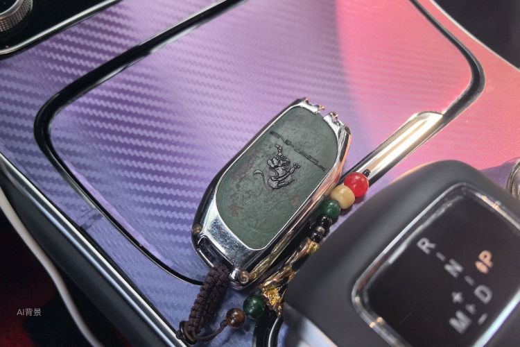 T5 EVO 2021 car image #10
