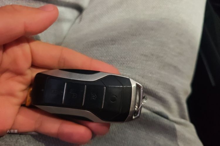 BYD Song Pro 2019 car image #10