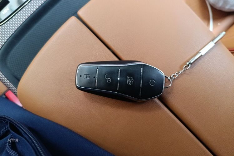 BYD Han 2022 car image #10