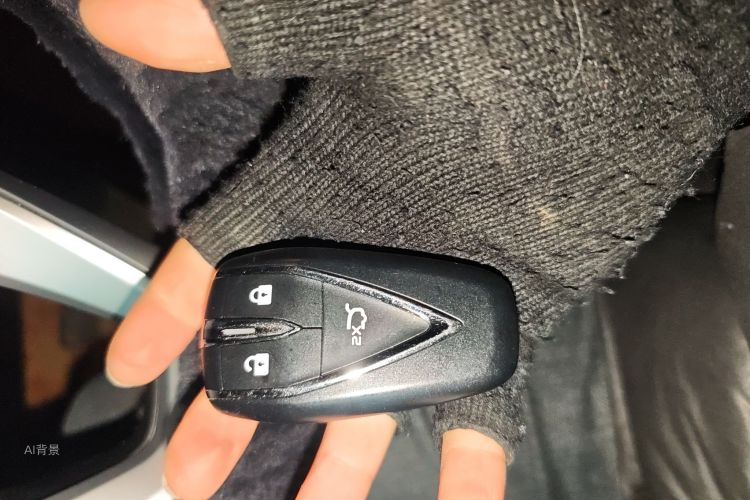 Changan CS55 Plus 2020 صورة سيارة #10