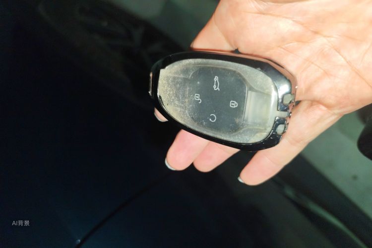 GAC Trumpchi GS8 2022 car image #10