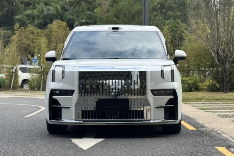 极氪 极氪009 2024 汽车图片 #10