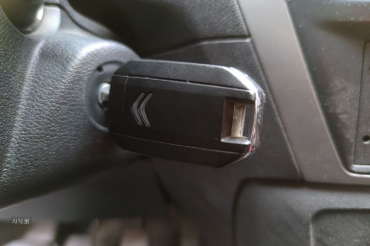 Citroen C-Elysée 2018 immagine di auto #10