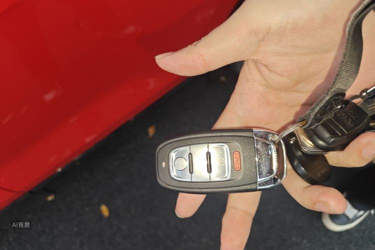 奥迪Q2L 2020 汽车图片 #10