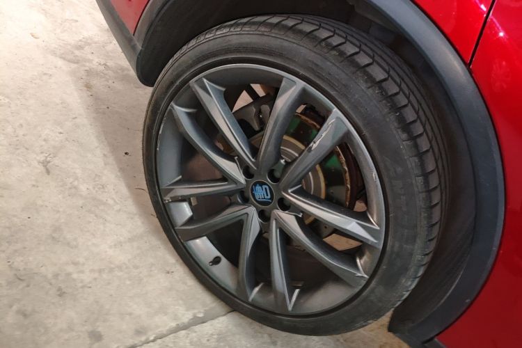 BYD Tang New Energy 2019 car image #10